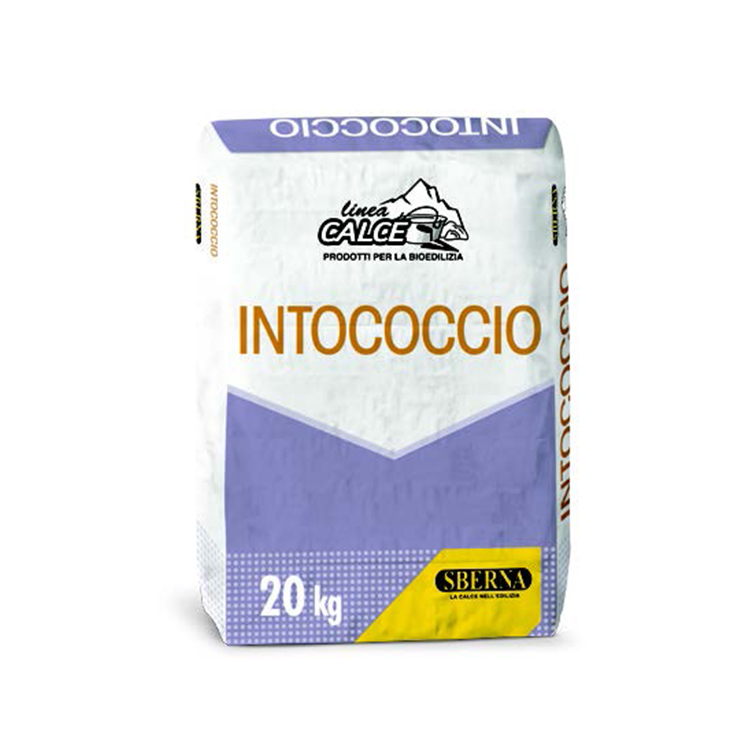 Intococcio